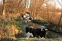 Rostoczek 11.2008 312
